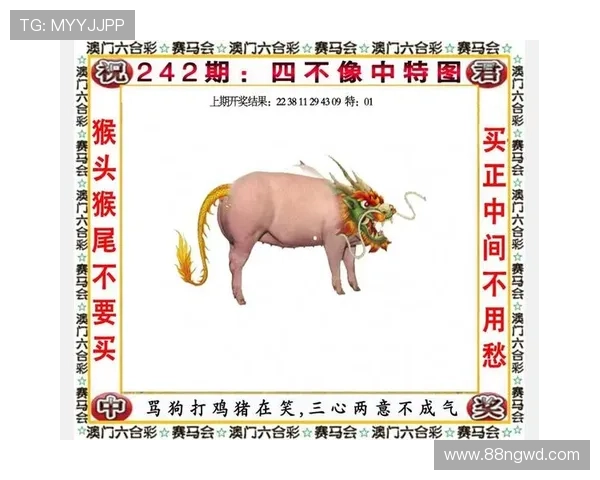 澳门开奖直播下载：探索澳门大联盟的精彩世界